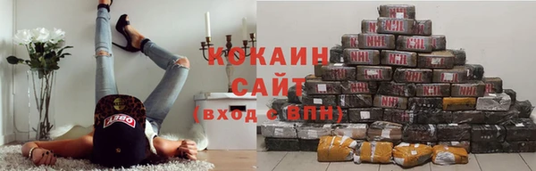 крисы Арсеньев
