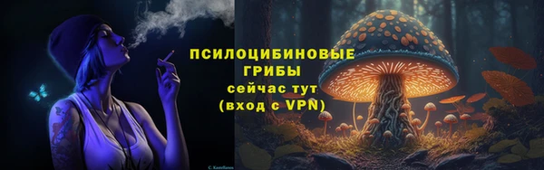 ALPHA-PVP Богородицк